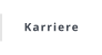 Karriere